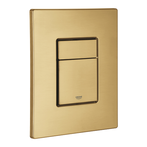 Flush plate